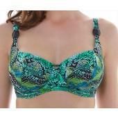 Arizona Bikini