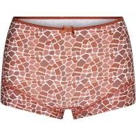 Short Limited Edition