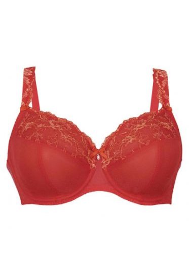 Colette Bh Beugel