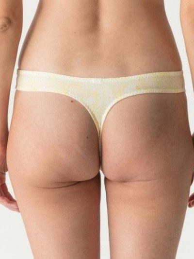 String Anaconda Geel